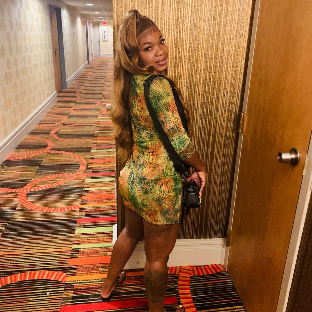 Multi Snake Print Mesh Button Down Shirt Dress - image 1